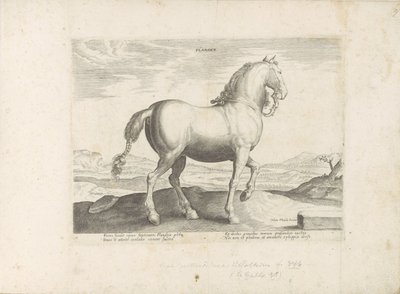 Paard uit Vlaanderen Flandern (titel på objekt) Paardenrassen uit de Koninklijke stallen van Don Juan van Oostenrijk (serietitel) Hästen, där alla typer av adelsmän: beteendet hos hästar som skiljer sig från olika delar av världen utvalda (...) (serietitel av Anonymous