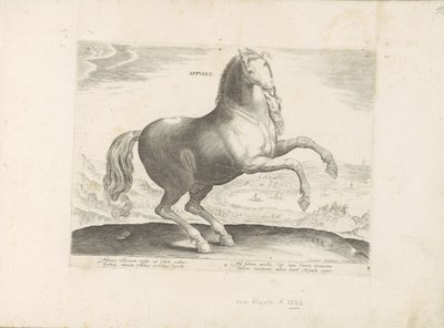 Paard ut Zuid-Italien Appulus (titel på objekt) Paardenrassen uit de Koninklijke stallen van Don Juan van Oostenrijk (serietitel) Hästen, där alla typer av adelsmän: beteendet hos hästar som skiljer sig från olika delar av världen utvalda (...) (serietitel av Anonymous