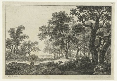 Vägen genom skogen av Anonymous