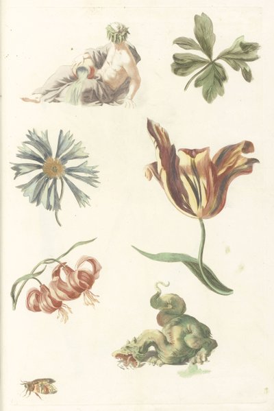 Flodgud, en drake och fyra blommor av Anonymous