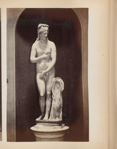 Skulptur av Venus i de Capitoline museerna i Rom, Italien av Anonymous
