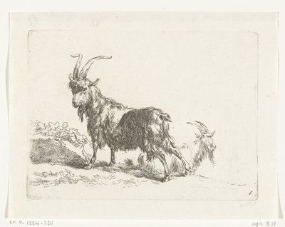 Stående och liggande get eller bock Getter och får till N.P. Berchem (serietitel) av Anonymous