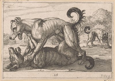 Två parnings- och två kamphundar Fighting Animals (kopior) (serietitel) av Anonymous