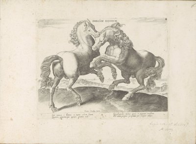 Två vechtende paarden Horse Duell (titel på objekt) Hästen, där alla typer av adelsmän: beteendet hos hästar som skiljer sig från olika delar av världen utvalda (...) (serietitel på objekt) av Anonymous