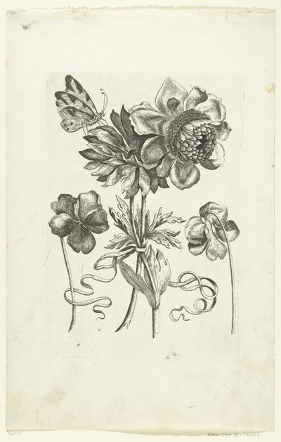 Fyra blommor, varav två violer Novae Florum Icones (serietitel) av Anonymous