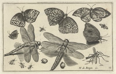 Fjärilar och trollsländor Fåglar och insekter (serietitel) av Anonymous