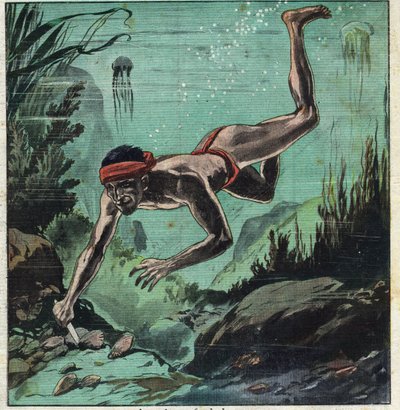 En pärlforskare som riskerar sitt liv i Ceylons och Polynesiens tropiska hav för att förse eleganta med halsband och smycken. Illustration hämtad från "" Le Petite Journal"" 1923-11-03 Privat samling. av Anonymous Anonymous