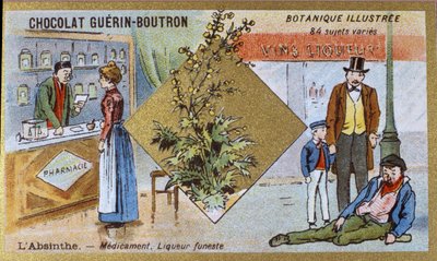 Absint: medicin och dödlig likör. Gravyr (kromo). Reklamkromolitografi för Guerin-Boutron-choklad, sent 1800-tal. Illustree Botanical Series. av Anonymous Anonymous