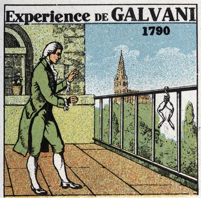 Batterier och ackumulatorer: erfarenhet av Luigi Galvani (1737-1798) på electricite med grodlår för att se effekterna på muskler, 1790. Anonym illustration från 1925. Privat samling. av Anonymous Anonymous
