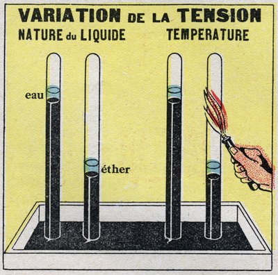 Ändringar i tillstånd: ångor. Variation av spänning beroende på vätskans natur eller temperatur. Anonym illustration från 1925. Privat samling. av Anonymous Anonymous