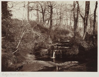 Edge Park, Cheshire, ca 1865 (albumenutskrift från glasnegativ) av Anonymous Anonymous