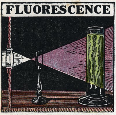 Fluorescens: bevis på kropparnas fluorescens. Anonym illustration från 1925. Privat samling. av Anonymous Anonymous