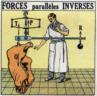 Krafter: vända parallella krafter. En slaktare som väger en köttkropp med en romersk våg. Anonym illustration från 1925. Privat samling. av Anonymous Anonymous