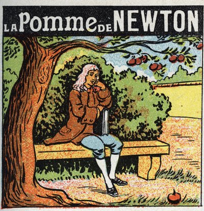Gravitation: Newtons äpple. Isaac Newton (1642-1727) observerar ett äpple falla från ett äppelträd och upptäcker lagarna för jordens gravitation (gravit). Anonym illustration från 1925. Privat samling. av Anonymous Anonymous