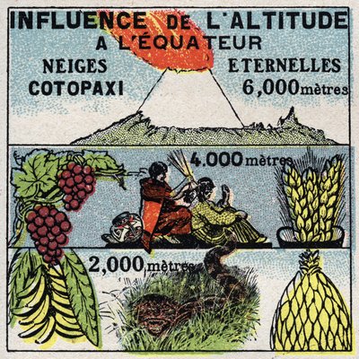 Meteorologi: höjdens inverkan på klimatet. Anonym illustration från 1925. Privat samling. av Anonymous Anonymous