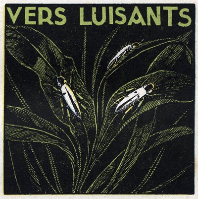 Fosforescens: glödande gröna. Anonym illustration från 1925. Privat samling. av Anonymous Anonymous