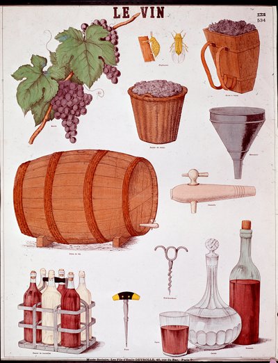 Tallrik illustrerad på konsten att göra vin och om oenologi: druva, tratt, kanel, korg och extraktor, bit vin, korkskruvar (korkskruv), flaska, karaff, borr och vinlåda. Gravyr av 1800-talets privatsamling av Anonymous Anonymous