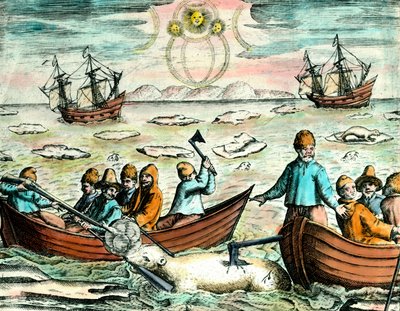 Isbjörnsjaktsscen i Kanada. 1700-talsgravyr Privat samling av Anonymous Anonymous