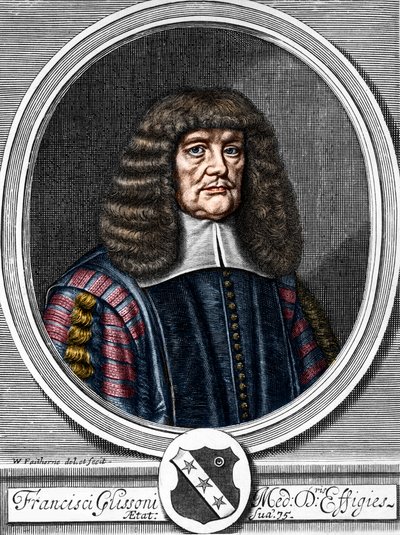 Porträtt av Francis Glisson (1599-1677), brittisk läkare, anatom. av Anonymous Anonymous