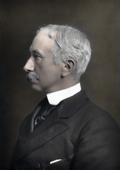 Porträtt av Marechal Viscount Garnet Joseph Wolseley (1833-1913), överbefälhavare för den brittiska armén av Anonymous Anonymous