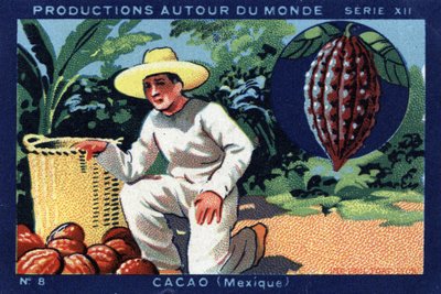 Produktioner runt om i världen: Kakao i Mexiko. Kromolitografi från 1933 i "" Joseph-Milliat Album"" av Anonymous Anonymous