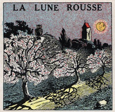 Strålning och konduktivitet: den röda månen vars ljus bränner blomknopparna. Anonym illustration från 1925. Privat samling. av Anonymous Anonymous
