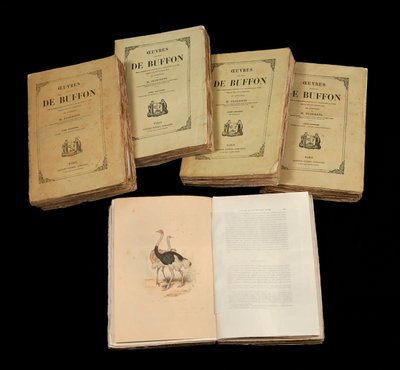 The Complete Artworks of Buffon (1707 - 1788) - privat samling av Anonymous Anonymous