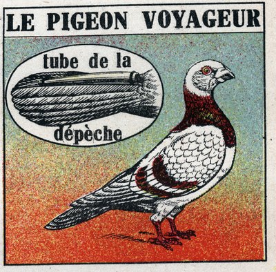 Postkontoret: Resandeduvan. Anonym illustration från 1925. Privat samling. av Anonymous Anonymous