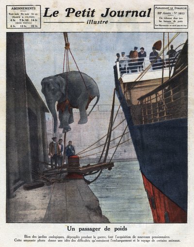 Ankomsten med båt av en elefant som förvärvats av en zoologisk trädgård av människor efter kriget. Illustration hämtad från "" Le petit journal illustrious"" av 1921-11-20. Privat samling av Anonymous Anonymous