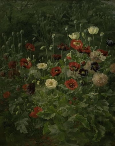 Vallmo av Anthonie Christensen