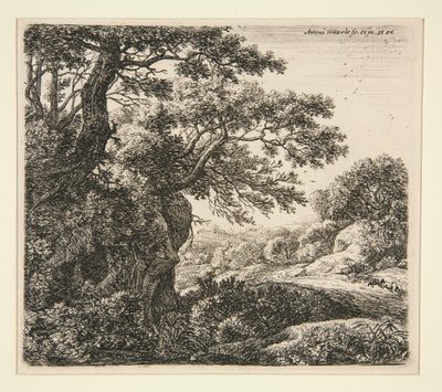 The Sleeper by the Wayside av Anthonie Waterloo