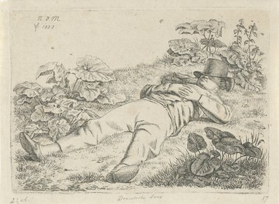 Liggande man i gräset Drentsche bonde (titel på objekt) av Anthonie Willem Hendrik Nolthenius de Man