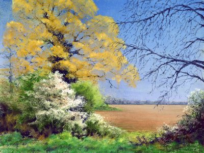 Blackthorn Winter, 2003 av Anthony Rule