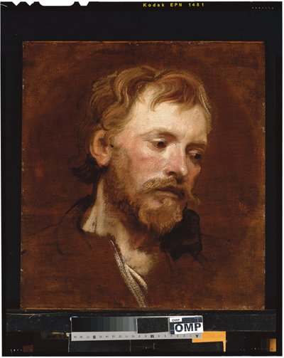 En skäggig man, en studie av Anthony van Dyck
