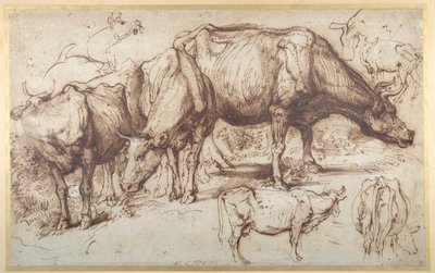 Boskap i betesmark, ca 1618-20 (penna och bläck med tvätt på papper) av Anthony van Dyck