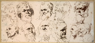 Elva huvudstudier (penna & brunt bläck på papper) av Anthony van Dyck