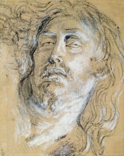 Head of the Dead Christ (kol & krita på papper) av Anthony van Dyck