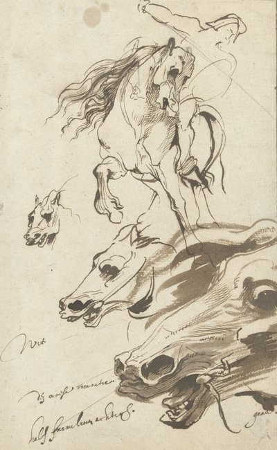 Studie av ryttare och huvud på en häst, 1620-1 (penna och wc på papper) av Anthony van Dyck