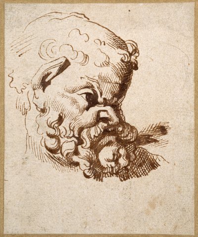 Studie av ett antikt huvud av Silenus (penna och bläck på papper) av Anthony van Dyck