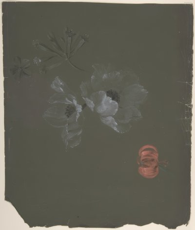 Blommig design av Antoine Berjon