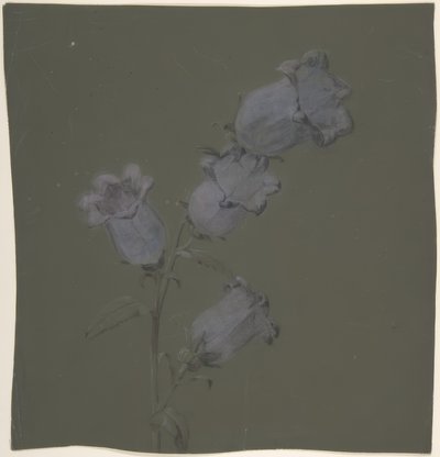 Spray av Canterbury Bells av Antoine Berjon