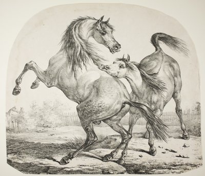 Vilda hästar som slåss, ca 1820 av Antoine Charles Horace Vernet