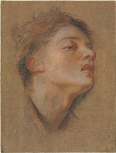Chef för en ung man, 1715-1717. av Antoine Coypel
