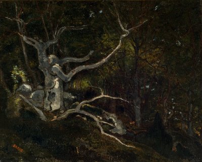 Skogen i Fontainebleau, "Reine Blanche" 1860 (olja på duk) av Antoine Louis Barye