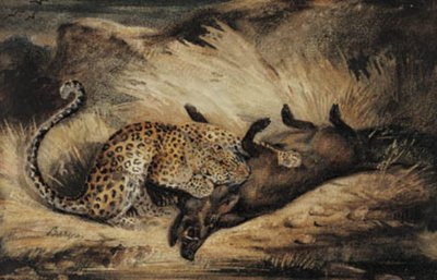 Leopard äter en galt. av Antoine Louis Barye