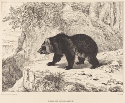 Mississippi Björn av Antoine Louis Barye
