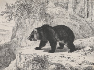 Mississippibjörn, 1836. av Antoine Louis Barye