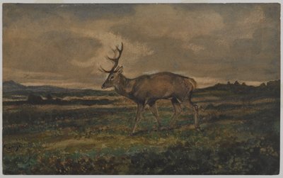 Stag Walking (wc på papper) av Antoine Louis Barye