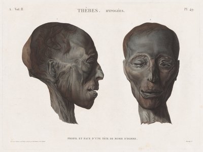 Beskrivning av Egypten: Thebes. Hypogeerna Vol. II, Pl. 49 av Antoine Maxime Monsaldy