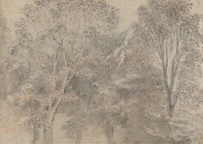 Trädtoppar [verso] av Antoine Watteau